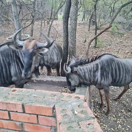 Singwe Private Safari Lodge Kruger Marloth Park Exterior photo