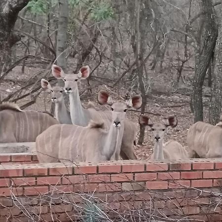 Singwe Private Safari Lodge Kruger Marloth Park Exterior photo