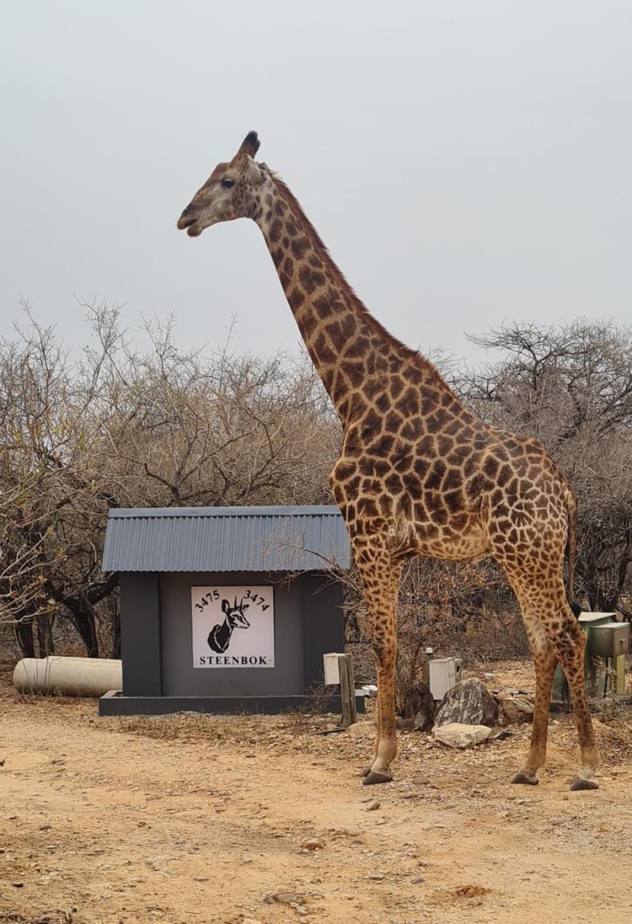 Singwe Private Safari Lodge Kruger Marloth Park Exterior photo